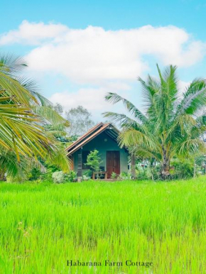 Habarana Farm Cottage